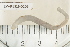  ( - EW-RES19-0109)  @11 [ ] CreativeCommons - Attribution  CBG Photography Group Centre for Biodiversity Genomics