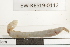  ( - EW-RES19-0112)  @11 [ ] CreativeCommons - Attribution  CBG Photography Group Centre for Biodiversity Genomics