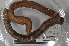  ( - EW-MI15-0010)  @13 [ ] CreativeCommons - Attribution Non-Commercial Share-Alike (2015) Thibaud Decaens Universite Montpellier, CEFE Lab
