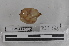  ( - EW-MI15-0028)  @12 [ ] CreativeCommons - Attribution Non-Commercial Share-Alike (2015) Thibaud Decaens Universite Montpellier, CEFE Lab