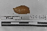  ( - EW-MI15-0029)  @12 [ ] CreativeCommons - Attribution Non-Commercial Share-Alike (2015) Thibaud Decaens Universite Montpellier, CEFE Lab