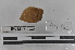  ( - EW-MI15-0030)  @12 [ ] CreativeCommons - Attribution Non-Commercial Share-Alike (2015) Thibaud Decaens Universite Montpellier, CEFE Lab