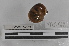  ( - EW-MI15-0031)  @12 [ ] CreativeCommons - Attribution Non-Commercial Share-Alike (2015) Thibaud Decaens Universite Montpellier, CEFE Lab