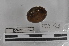  ( - EW-MI15-0032)  @12 [ ] CreativeCommons - Attribution Non-Commercial Share-Alike (2015) Thibaud Decaens Universite Montpellier, CEFE Lab