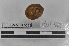  ( - EW-MI15-0033)  @12 [ ] CreativeCommons - Attribution Non-Commercial Share-Alike (2015) Thibaud Decaens Universite Montpellier, CEFE Lab