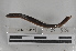  ( - EW-MI15-0131)  @12 [ ] CreativeCommons - Attribution Non-Commercial Share-Alike (2015) Thibaud Decaens Universite Montpellier, CEFE Lab