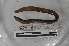  ( - EW-MI15-0180)  @12 [ ] CreativeCommons - Attribution Non-Commercial Share-Alike (2015) Thibaud Decaens Universite Montpellier, CEFE Lab