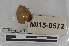  ( - EW-MI15-0214)  @12 [ ] CreativeCommons - Attribution Non-Commercial Share-Alike (2015) Thibaud Decaens Universite Montpellier, CEFE Lab