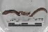  ( - EW-MI15-0244)  @12 [ ] CreativeCommons - Attribution Non-Commercial Share-Alike (2015) Thibaud Decaens Universite Montpellier, CEFE Lab