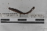  ( - EW-MI15-0269)  @12 [ ] CreativeCommons - Attribution Non-Commercial Share-Alike (2015) Thibaud Decaens Universite Montpellier, CEFE Lab