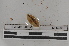  ( - EW-MI15-0276)  @12 [ ] CreativeCommons - Attribution Non-Commercial Share-Alike (2015) Thibaud Decaens Universite Montpellier, CEFE Lab