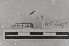  ( - EW-MI15-0282)  @11 [ ] CreativeCommons - Attribution Non-Commercial Share-Alike (2015) Thibaud Decaens Universite Montpellier, CEFE Lab