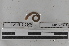  ( - EW-MI15-0306)  @12 [ ] CreativeCommons - Attribution Non-Commercial Share-Alike (2015) Thibaud Decaens Universite Montpellier, CEFE Lab