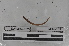  ( - EW-MI15-0329)  @12 [ ] CreativeCommons - Attribution Non-Commercial Share-Alike (2015) Thibaud Decaens Universite Montpellier, CEFE Lab