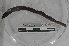  ( - EW-MI15-0334)  @12 [ ] CreativeCommons - Attribution Non-Commercial Share-Alike (2015) Thibaud Decaens Universite Montpellier, CEFE Lab