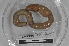  ( - EW-MI15-0358)  @13 [ ] CreativeCommons - Attribution Non-Commercial Share-Alike (2015) Thibaud Decaens Universite Montpellier, CEFE Lab
