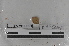  ( - EW-MI15-0371)  @12 [ ] CreativeCommons - Attribution Non-Commercial Share-Alike (2015) Thibaud Decaens Universite Montpellier, CEFE Lab