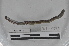  ( - EW-MI15-0376)  @12 [ ] CreativeCommons - Attribution Non-Commercial Share-Alike (2015) Thibaud Decaens Universite Montpellier, CEFE Lab
