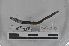  ( - EW-MI15-0377)  @12 [ ] CreativeCommons - Attribution Non-Commercial Share-Alike (2015) Thibaud Decaens Universite Montpellier, CEFE Lab