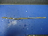  ( - Ain-6)  @12 [ ] CreativeCommons - Attribution Non-Commercial Share-Alike (2010) Unspecified The Research Collection of Chih-Han Chang