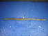  ( - Cal2)  @12 [ ] CreativeCommons - Attribution Non-Commercial Share-Alike (2010) Unspecified The Research Collection of Chih-Han Chang