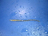  ( - Diaf3)  @12 [ ] CreativeCommons - Attribution Non-Commercial Share-Alike (2010) Unspecified The Research Collection of Chih-Han Chang