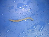  ( - Dibo5)  @12 [ ] CreativeCommons - Attribution Non-Commercial Share-Alike (2010) Unspecified The Research Collection of Chih-Han Chang