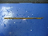  ( - Msc-7)  @12 [ ] CreativeCommons - Attribution Non-Commercial Share-Alike (2010) Unspecified The Research Collection of Chih-Han Chang