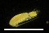  ( - CH774-A06)  @11 [ ] CreativeCommons  Attribution Non-Commercial Share-Alike (2015) Martha Valdez-Moreno El Colegio de la Frontera Sur