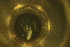  ( - CH776-A12)  @11 [ ] CreativeCommons  Attribution Non-Commercial Share-Alike (2015) Martha Valdez-Moreno El Colegio de la Frontera Sur