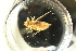  ( - CH781-H10)  @11 [ ] CreativeCommons  Attribution Non-Commercial Share-Alike (2015) Martha Valdez-Moreno El Colegio de la Frontera Sur
