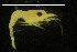  ( - CH809-D09)  @11 [ ] CreativeCommons  Attribution Non-Commercial Share-Alike (2015) Martha Valdez-Moreno El Colegio de la Frontera Sur