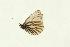  ( - EZ0032CNC)  @13 [ ] Unspecified (default): All Rights Reserved  Unspecified Unspecified