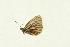  ( - EZ0038CNC)  @13 [ ] Unspecified (default): All Rights Reserved  Unspecified Unspecified