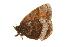 ( - EZ0080CNC)  @13 [ ] Unspecified (default): All Rights Reserved  Unspecified Unspecified
