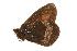  ( - EZ0081CNC)  @13 [ ] Unspecified (default): All Rights Reserved  Unspecified Unspecified
