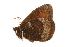  ( - EZ0082CNC)  @13 [ ] Unspecified (default): All Rights Reserved  Unspecified Unspecified