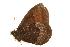  ( - EZ0083CNC)  @13 [ ] Unspecified (default): All Rights Reserved  Unspecified Unspecified