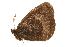  ( - EZ0084CNC)  @13 [ ] Unspecified (default): All Rights Reserved  Unspecified Unspecified