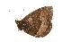  ( - EZ0085CNC)  @13 [ ] Unspecified (default): All Rights Reserved  Unspecified Unspecified