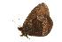  ( - EZ0086CNC)  @13 [ ] Unspecified (default): All Rights Reserved  Unspecified Unspecified