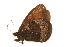  ( - EZ0087CNC)  @13 [ ] Unspecified (default): All Rights Reserved  Unspecified Unspecified