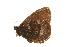  ( - EZ0088CNC)  @13 [ ] Unspecified (default): All Rights Reserved  Unspecified Unspecified