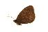  ( - EZ0114CNC)  @12 [ ] Unspecified (default): All Rights Reserved  Unspecified Unspecified