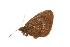  ( - EZ0129CNC)  @12 [ ] Unspecified (default): All Rights Reserved  Unspecified Unspecified