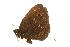  ( - EZ0132CNC)  @12 [ ] Unspecified (default): All Rights Reserved  Unspecified Unspecified