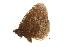  ( - EZ0136CNC)  @13 [ ] Unspecified (default): All Rights Reserved  Unspecified Unspecified