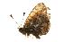  ( - EZ0267CNC)  @12 [ ] Unspecified (default): All Rights Reserved  Unspecified Unspecified