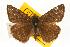  ( - EZEssig050)  @13 [ ] Unspecified (default): All Rights Reserved  Unspecified Unspecified