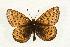  ( - EZ1007CNC)  @13 [ ] Unspecified (default): All Rights Reserved  Unspecified Unspecified